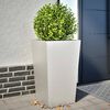 Product Thumbnail Image 2 of 12