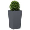 Product Thumbnail Image 4 of 12
