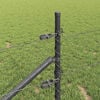 Product Thumbnail Image 4 of 16