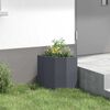 Product Thumbnail Image 4 of 12