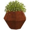 vidaXL Planter 2 pcs Rusty 50 x 50 x 40 cm Weathering Steel