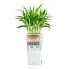 LECHUZA Planter Cubico 22 ALL-IN-ONE High-gloss White
