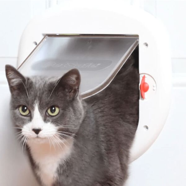 PetSafe 4-Way Pet Flap 280 White