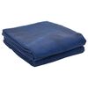 vidaXL Tent Carpet Blue 400 x 350 cm Polyester