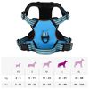 vidaXL Dog Harness with Lead & Collar Adjustable Blue L