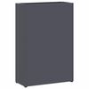 vidaXL Rain Umbrella Stand Anthracite 28 x 12 x 41 cm Steel