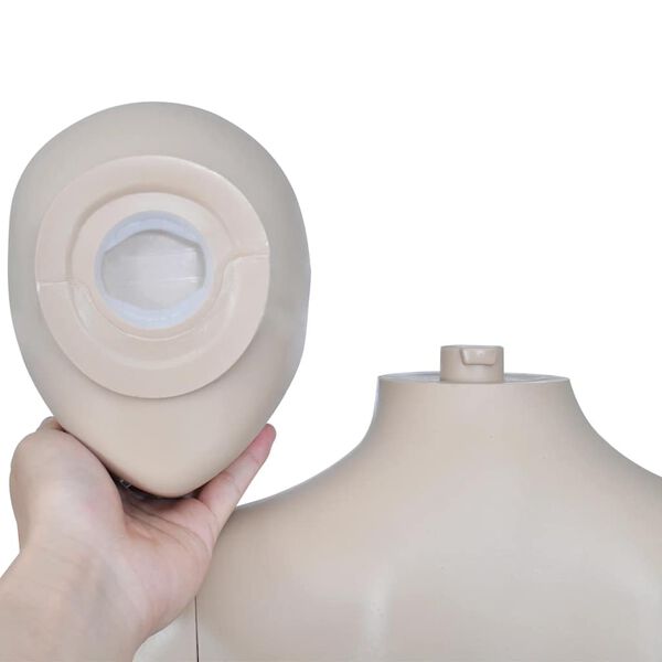Showing Product Image 4 of 7