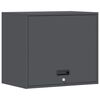 vidaXL Wall Cabinet for Garage with Gas-lift Door Anthracite