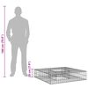 vidaXL Gabion Raised Bed Silver 100 x 100 x 20 cm Galvanised Steel