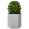 Product Thumbnail Image 3 of 11