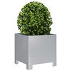 Product Thumbnail Image 3 of 11