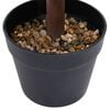 Product Thumbnail Image 4 of 5