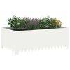 Product Thumbnail Image 3 of 8