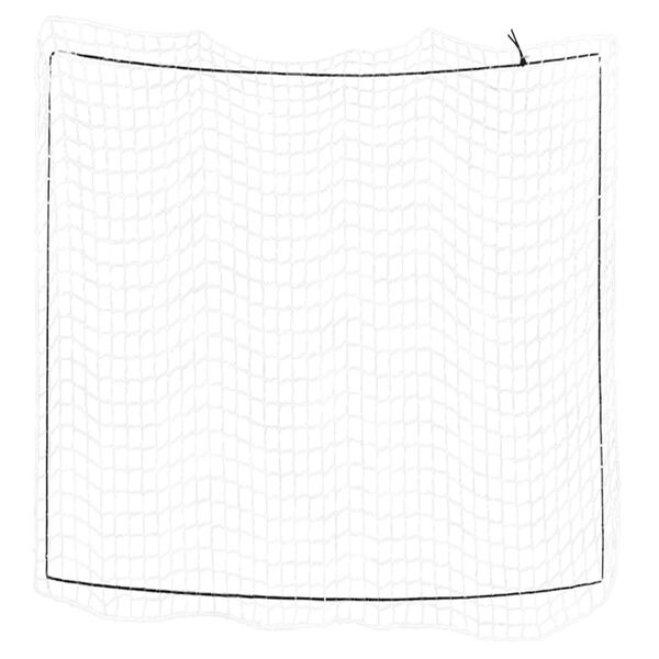 vidaXL Trailer Net with Elastic Rope White 3x3 m PP