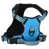 vidaXL Dog Harness with Lead & Collar Adjustable Blue L