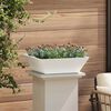 Product Thumbnail Image 4 of 12