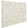 vidaXL Wall Panels 10 pcs White 100 x 50 cm EPS Foam