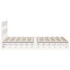 Product Thumbnail Image 7 of 12