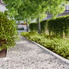 vidaXL Lawn Edging 50 pcs 10 x 103 cm Steel White