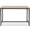 vidaXL Console Table Ash 119x53x79 cm