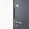 vidaXL Front Door Anthracite 90x200 cm Aluminium