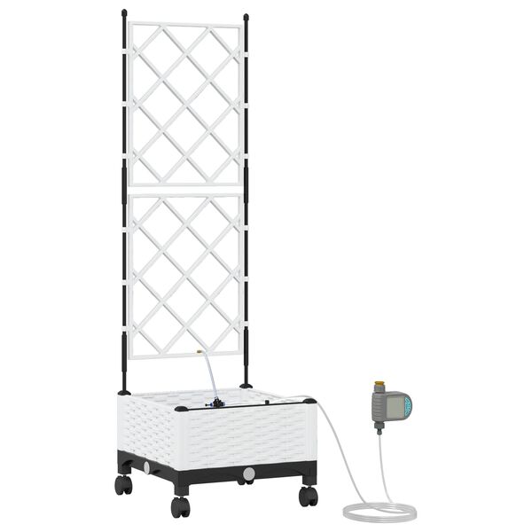 Showing Product Image 1 of 7