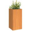 Product Thumbnail Image 4 of 9