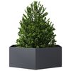Product Thumbnail Image 8 of 10