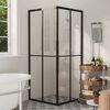 vidaXL Shower Cabin ESG 80x80x180 cm