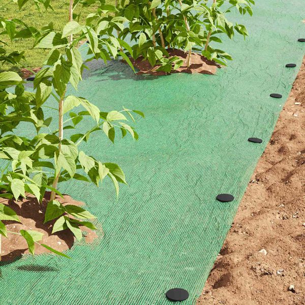 vidaXL Ground Pegs 500 pcs Black &Oslash;3 x 11 cm Plastic