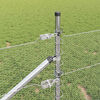 Product Thumbnail Image 4 of 16