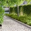 Product Thumbnail Image 2 of 10