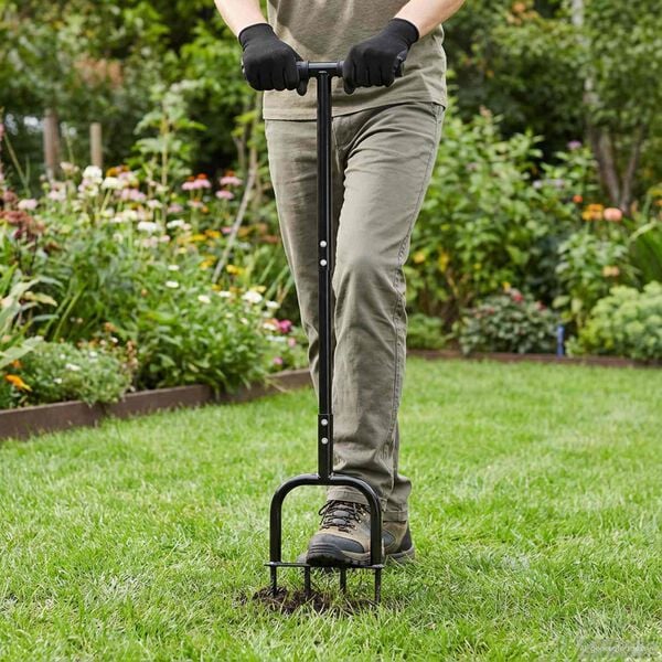 Showing Product Image 2 of 7