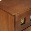 vidaXL Bedside Cabinet Brown 50 x 33 x 60 cm Solid Mango Wood
