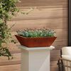 vidaXL Garden Planter Rusty 50 x 50 x 15 cm Weathering Steel