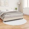 vidaXL Faux Rabbit Fur Rug Olite White Ø 160 cm Polyester
