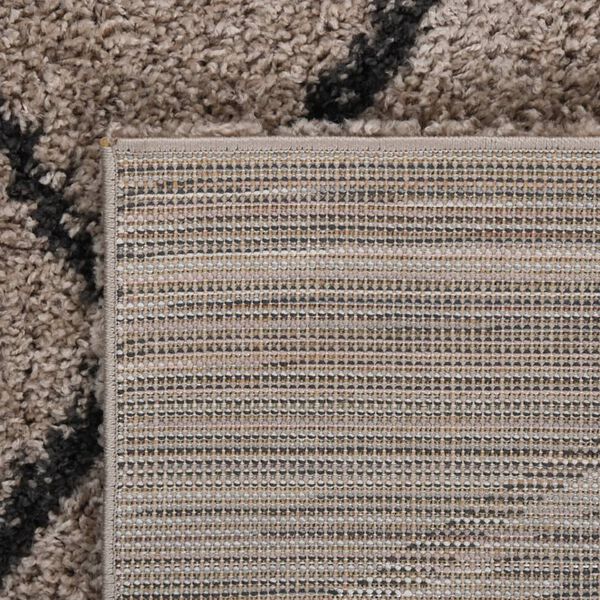 vidaXL Shaggy Rug High Pile Beige and Anthracite 160x230 cm