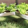 Product Thumbnail Image 3 of 11