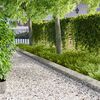 Product Thumbnail Image 2 of 10