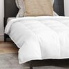 vidaXL 2-in-1 Duvet with Pillow 2 pcs White Down Feather