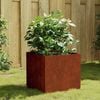 Product Thumbnail Image 2 of 9
