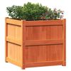 vidaXL Garden Planters 2 pcs Wax Brown Solid Wood Pine