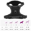 Product Thumbnail Image 14 of 14
