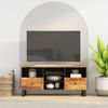 vidaXL TV Cabinet 100x33x46 cm Solid Wood Mango and Engineered Wood