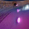 Gre LED Light for Above-ground Pool White and Blue LEDRC