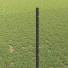 Product Thumbnail Image 4 of 14