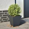 Product Thumbnail Image 2 of 10