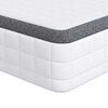 vidaXL Mattress White and Grey 100 x 200 cm Bonell Spring