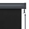 vidaXL Outdoor Roller Blind 140x250 cm Anthracite