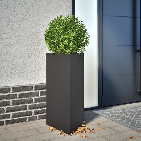 Showing Product Image 2 of 12